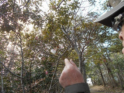 DSCN6891.jpg