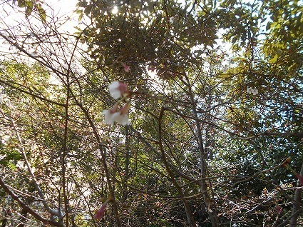 DSCN6895.jpg