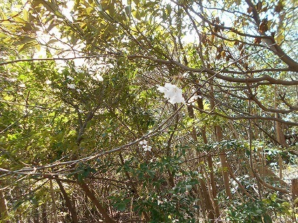 DSCN6898.jpg