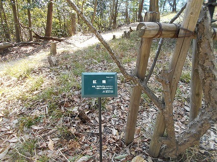 DSCN6899.jpg