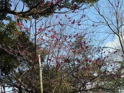 DSCN6900.jpg