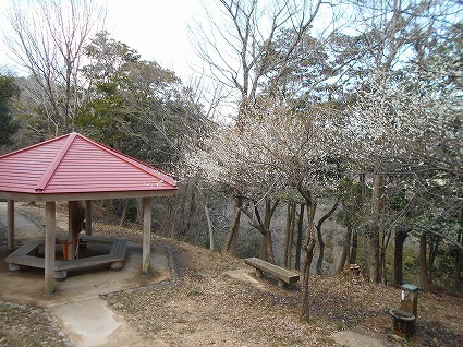 DSCN6903.jpg