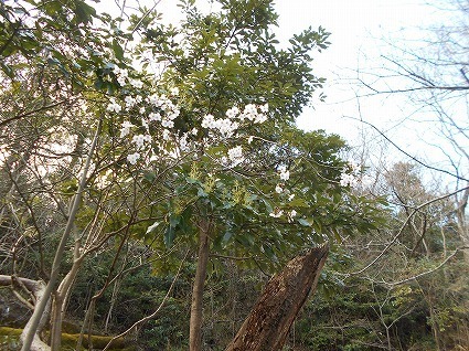 DSCN6904.jpg