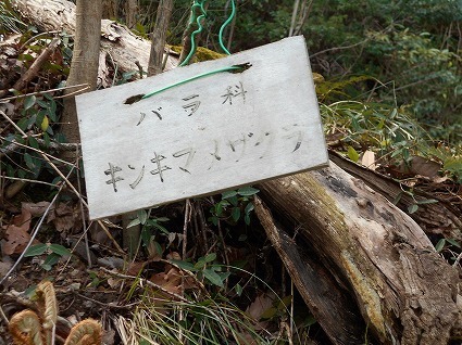 DSCN6905.jpg
