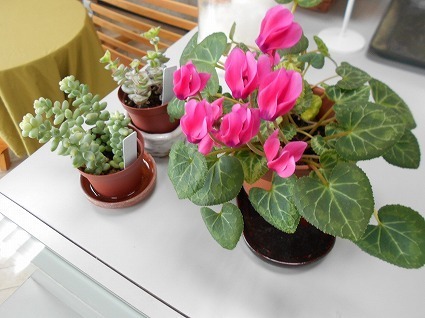 DSCN6922.jpg