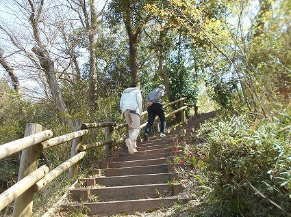 DSCN6935.jpg