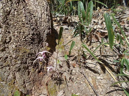 DSCN6936.jpg