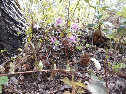 DSCN6937.jpg