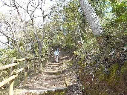 DSCN6938.jpg