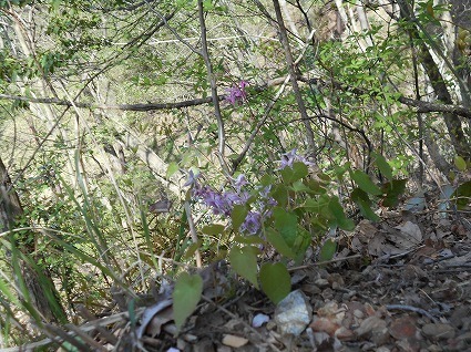 DSCN6939.jpg