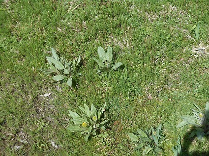 DSCN6940.jpg