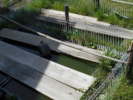 DSCN6941.jpg