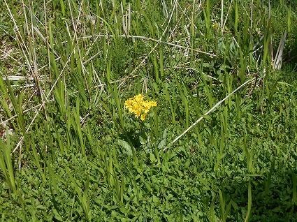 DSCN6943.jpg