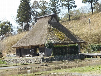 DSCN6947.jpg