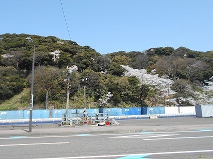 DSCN6950.jpg