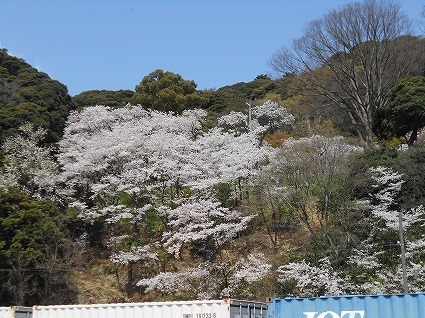 DSCN6951.jpg