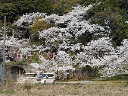 DSCN6953.jpg