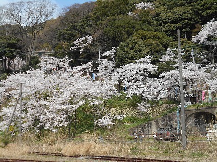 DSCN6954.jpg