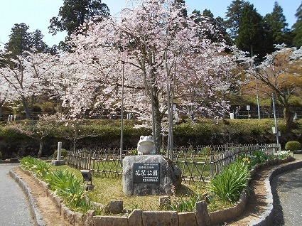 DSCN6959.jpg
