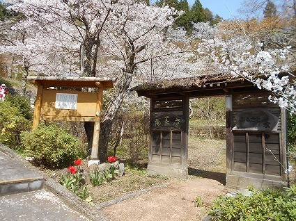 DSCN6960.jpg