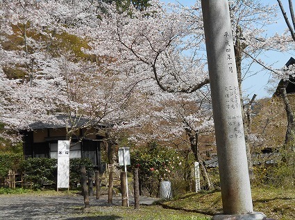 DSCN6963.jpg