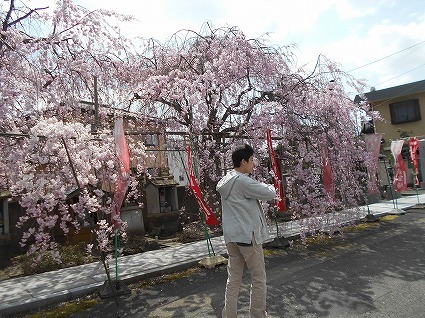 DSCN6964.jpg
