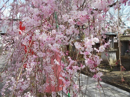 DSCN6967.jpg