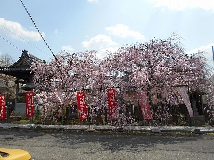 DSCN6969.jpg