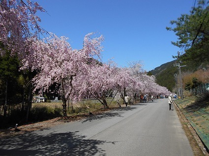 DSCN6976.jpg