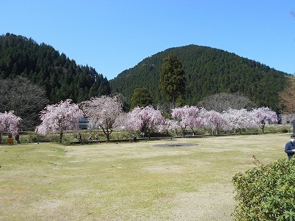DSCN6985.jpg