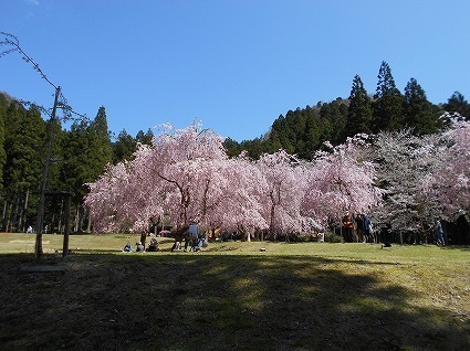 DSCN6986.jpg