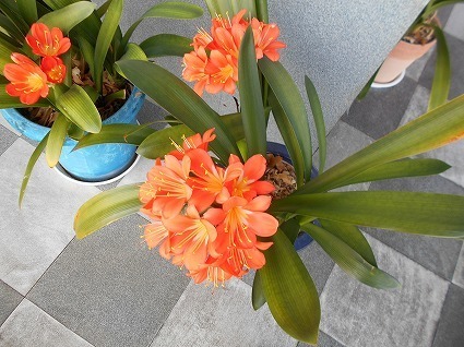 DSCN7002.jpg