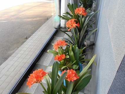 DSCN7003.jpg