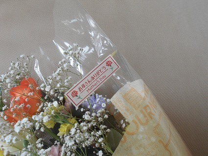 DSCN7011.jpg