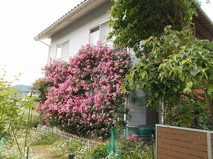 DSCN7055.jpg
