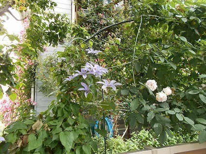 DSCN7056.jpg