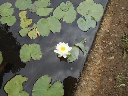 DSCN7077.jpg