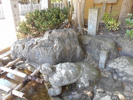 DSCN7191.jpg