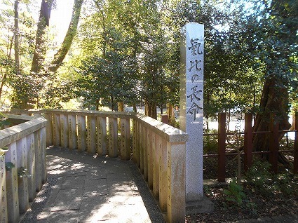 DSCN7193.jpg