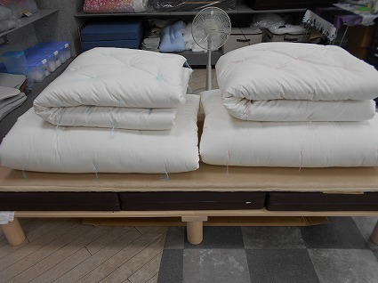 DSCN7208.jpg