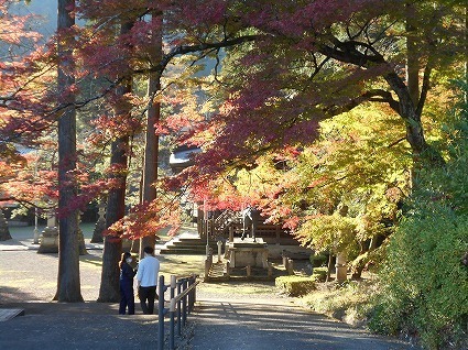 DSCN7254.jpg