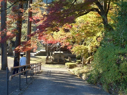 DSCN7255.jpg