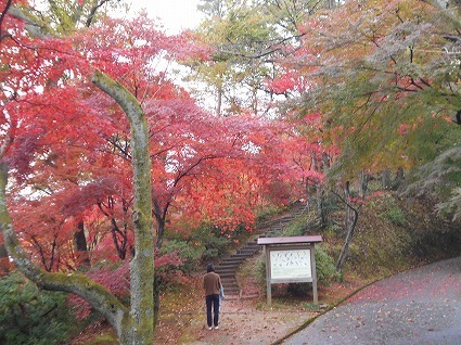 DSCN7275.jpg