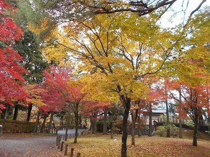 DSCN7278.jpg
