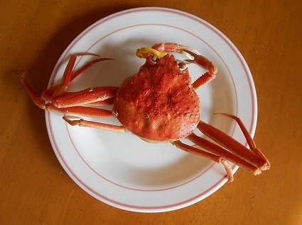 DSCN7282.jpg