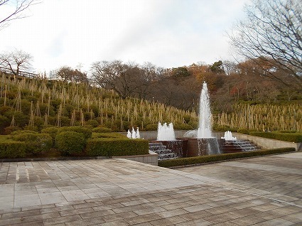 DSCN7295.jpg