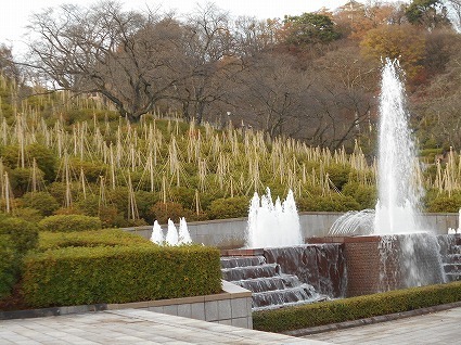 DSCN7296.jpg