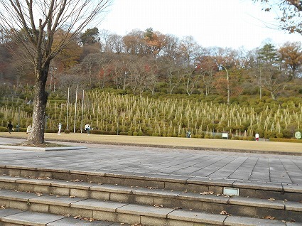 DSCN7299.jpg