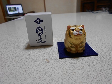 DSCN7322.jpg