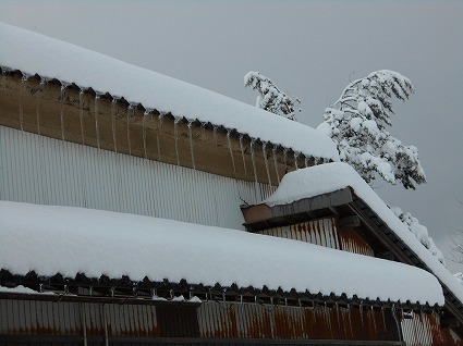 DSCN7331.jpg